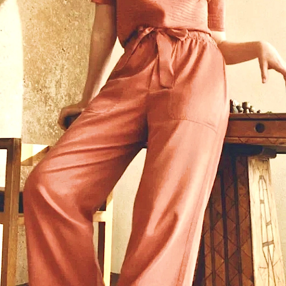 Club Monaco Belted Pants (size 2)
